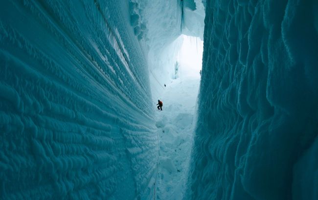 Antarctica was once jungle with dinosaurs around - Scientists impressed with new discovery