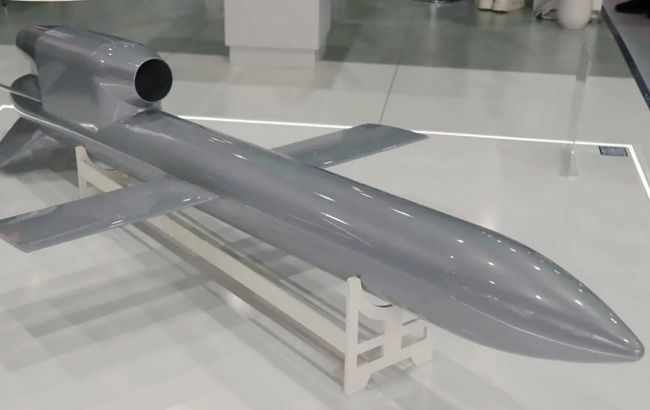Ukraine produces one Flamingo cruise missile every day - AP