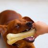 Dog treats causing harm to pet's teeth: Avoid buying