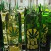 Drinks with cannabis - Fashion trend or real health benefits