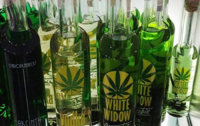 Drinks with cannabis - Fashion trend or real health benefits