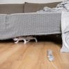 7 things you shouldn't store under bed