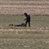 Drone carrying explosives crashes in rural Romania