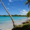 Not only Dominican Republic: Scenic Caribbean islands to visit this year