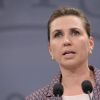 Ukraine needs security guarantees on par with NATO membership – Danish PM