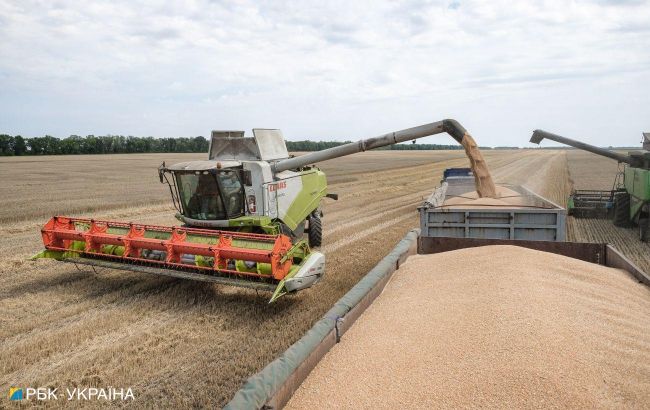 Nothing grows: Abnormal heat will reduce Ukraine's grain harvest
