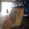 Global condemnation as Russia withdraws from 'grain deal'