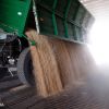 Russia's withdrawal from 'grain deal' likely due to conflicting interests