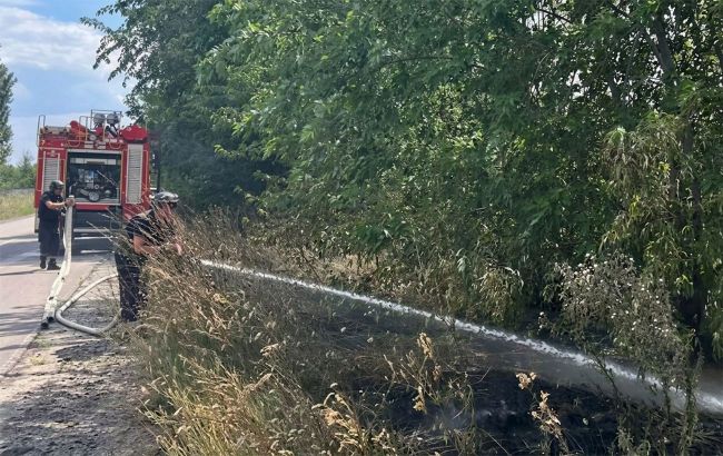 Russia strikes Ukraine's firefighters battling blaze in Zaporizhzhia: Casualties reported