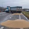 Ukraine Embassy files complaint with police against Polish farmers over spilled Ukrainian grain