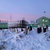 Thousands of penguins near Vernadsky station: Scientists share photos