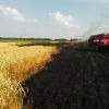 Person died in Chernihiv region as a result of a dry grass fire