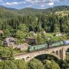 Train rides in Ukraine so enchanting, you'll feel like you're headed to Hogwarts