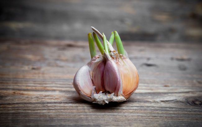 Not good for everyone - Who should never eat garlic