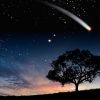 2025 June Bootids: Best times and tips for meteor watching