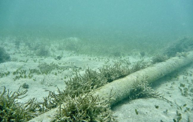 Undersea communications cable damaged in Gulf of Finland