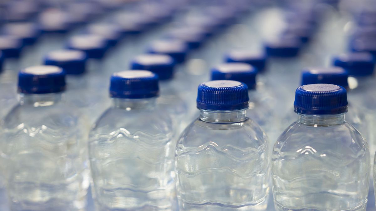 Bottled water has tiny nanoplastics able to penetrate body's cells, hurt organs - study