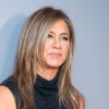 Man who crashed into Jennifer Aniston's gate charged with stalking and vandalism