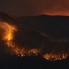 Hawaii forest fire causes billions in damages, claims at least 89 lives