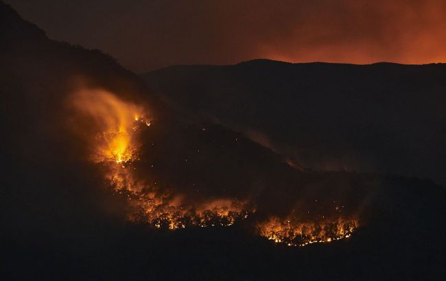 Hawaii forest fire causes billions in damages, claims at least 89 lives