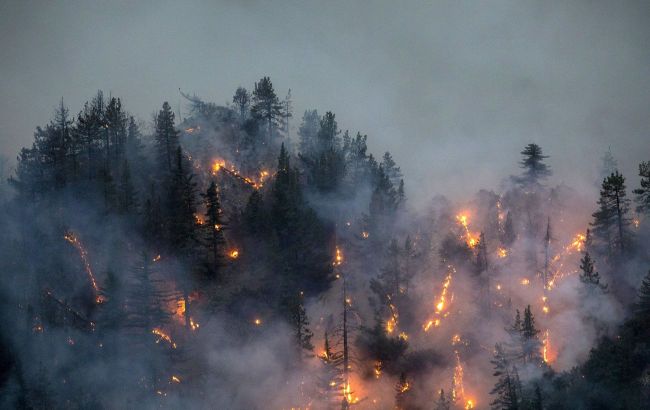 Wildfires in Greece: 18 planes involved, thousands of tourists evacuated