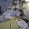 France under tight restrictions as hantavirus risk grows