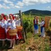 Best Ukrainian wine tourism locations from Zakarpattia to Odesa