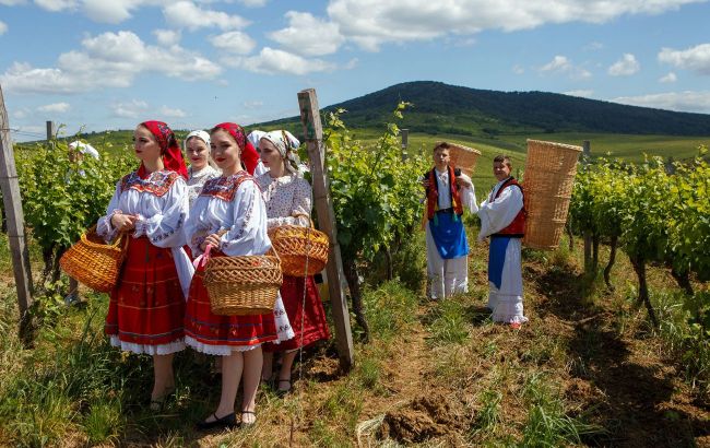 Best Ukrainian wine tourism locations from Zakarpattia to Odesa