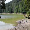 Lake Synevyr may look like a dream - But here's why you can't swim in it