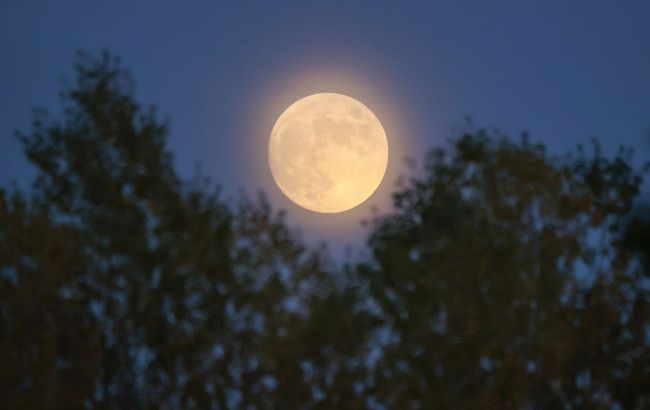 Full moon in January: What dangers await us
