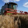 Global food prices fell by more than 10% over year