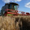 Ukraine's grain harvest under threat: First forecast warns of 10%
