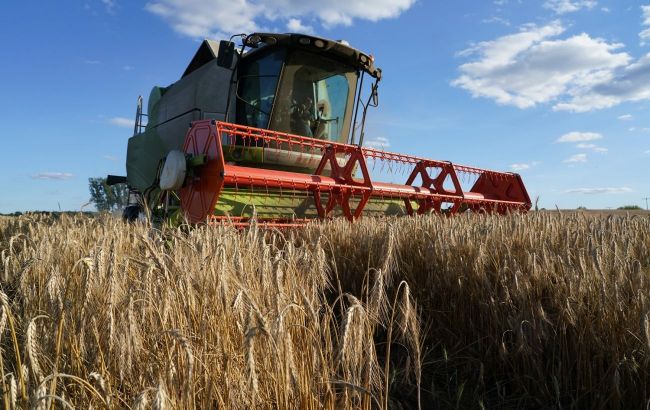 Ukraine's grain harvest under threat: First forecast warns of 10%