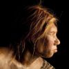 Ancient cannibalism exposed: Ancestors may have eaten Neanderthal children