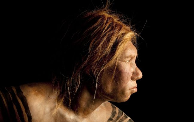 Ancient cannibalism exposed: Ancestors may have eaten Neanderthal children