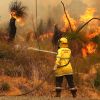 NASA project to prevent wildfires may be shut down by Trump cuts