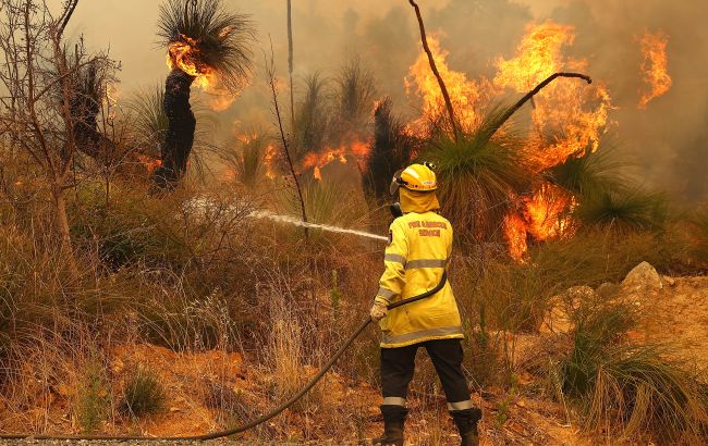 NASA project to prevent wildfires may be shut down by Trump cuts