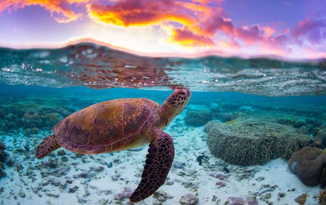 20 unique places likely to disappear by 2045: See them before it&rsquo;s too late