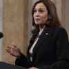 US election: All 50 Democratic Party chairs express support for Kamala Harris
