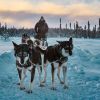 Life in Alaska at -22&deg;F: How residents survive, stay healthy, and recieve state payments