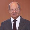 Scholz before visiting Washington: Germany could not support Ukraine alone