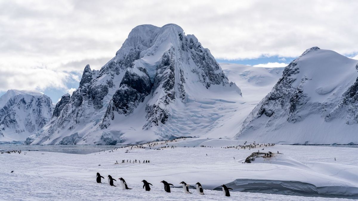 Scientists reveal long-standing secret of mysterious Lake Enigma in Antarctica | RBC-Ukraine