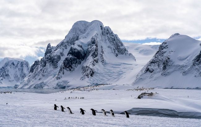 Scientists reveal long-standing secret of mysterious Lake Enigma in Antarctica