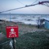 Dolphins are dying: Unseen ecological tragedy unfolding in Black Sea