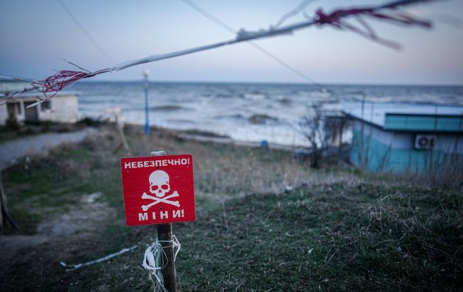 Dolphins are dying: Unseen ecological tragedy unfolding in Black Sea