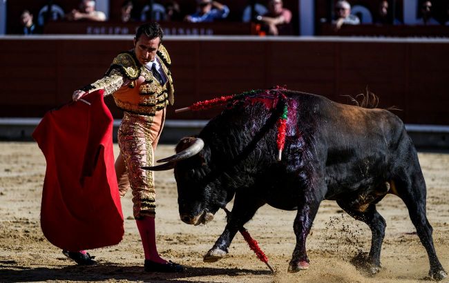 Real reasons for bulls' aggression in bullfighting