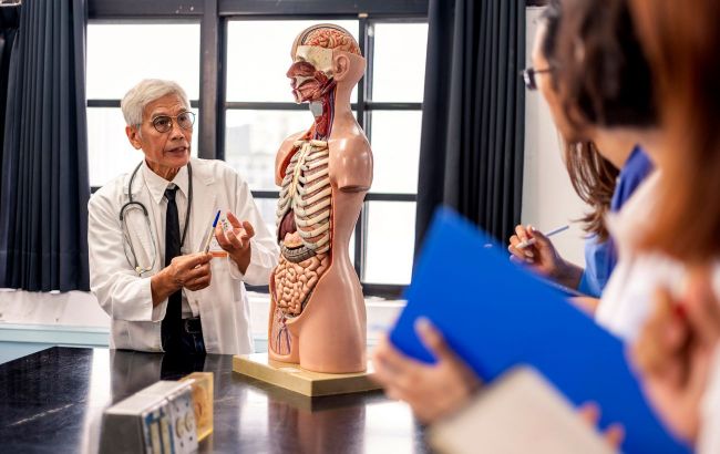 Discovery of the century: Scientists accidentally find new organ in human body