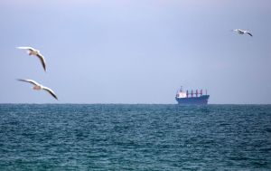 Russia attacks civilian vessel in Black Sea, killing captain