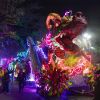 Mardi Gras 2025: Grand finale of biggest carnival in New Orleans