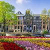 Real sensory therapy: 6 magical sights and smells of the Netherlands in spring